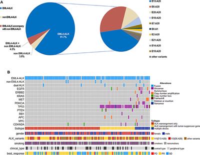 Prevalence and Clinical Impact of Concomitant Mutations in Anaplastic Lymphoma Kinase Rearrangement Advanced Non-small-Cell Lung Cancer (Guangdong Association of Thoracic Oncology Study 1055)